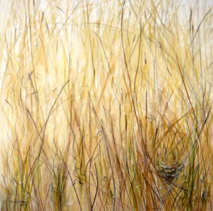 grass nest: pigment and acrylic on canvas
