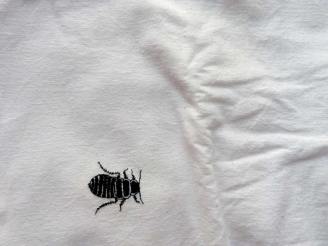 cockroach embroidery Belinda Broughton